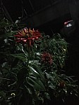 20170362 HyojinKim.jpg 20170362 HyojinKim.jpg